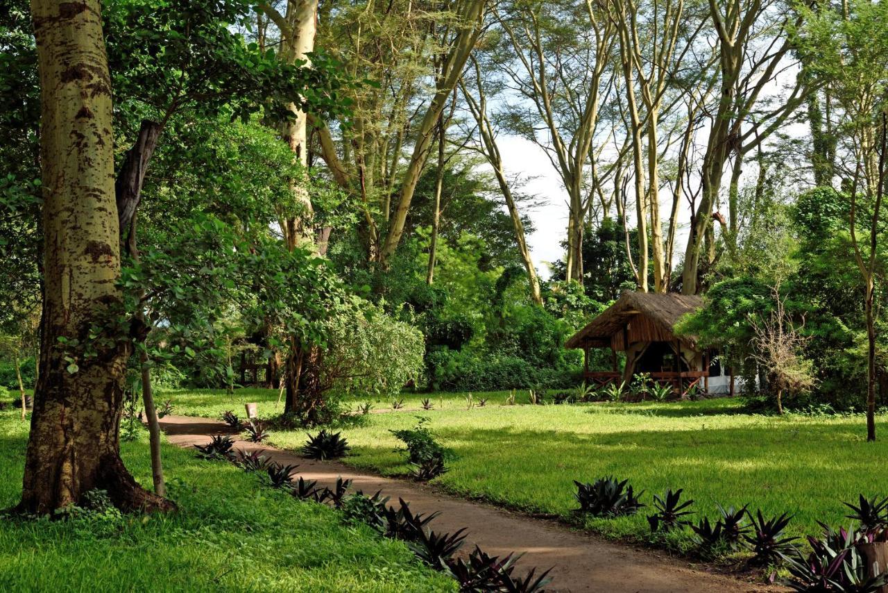 Migunga Tented Camp Mto wa Mbu Exterior photo