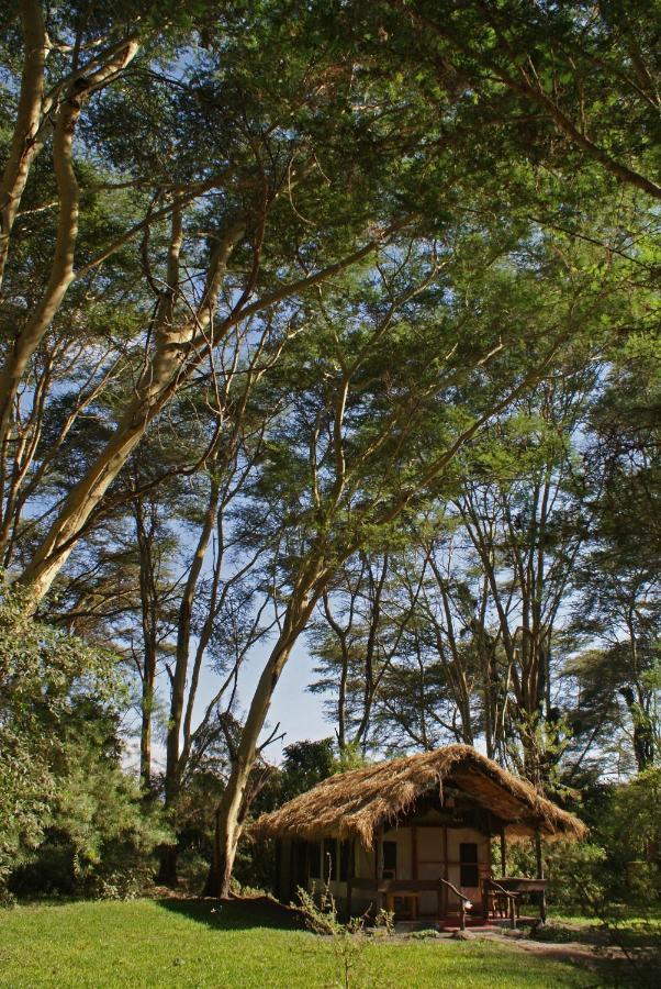 Migunga Tented Camp Mto wa Mbu Exterior photo