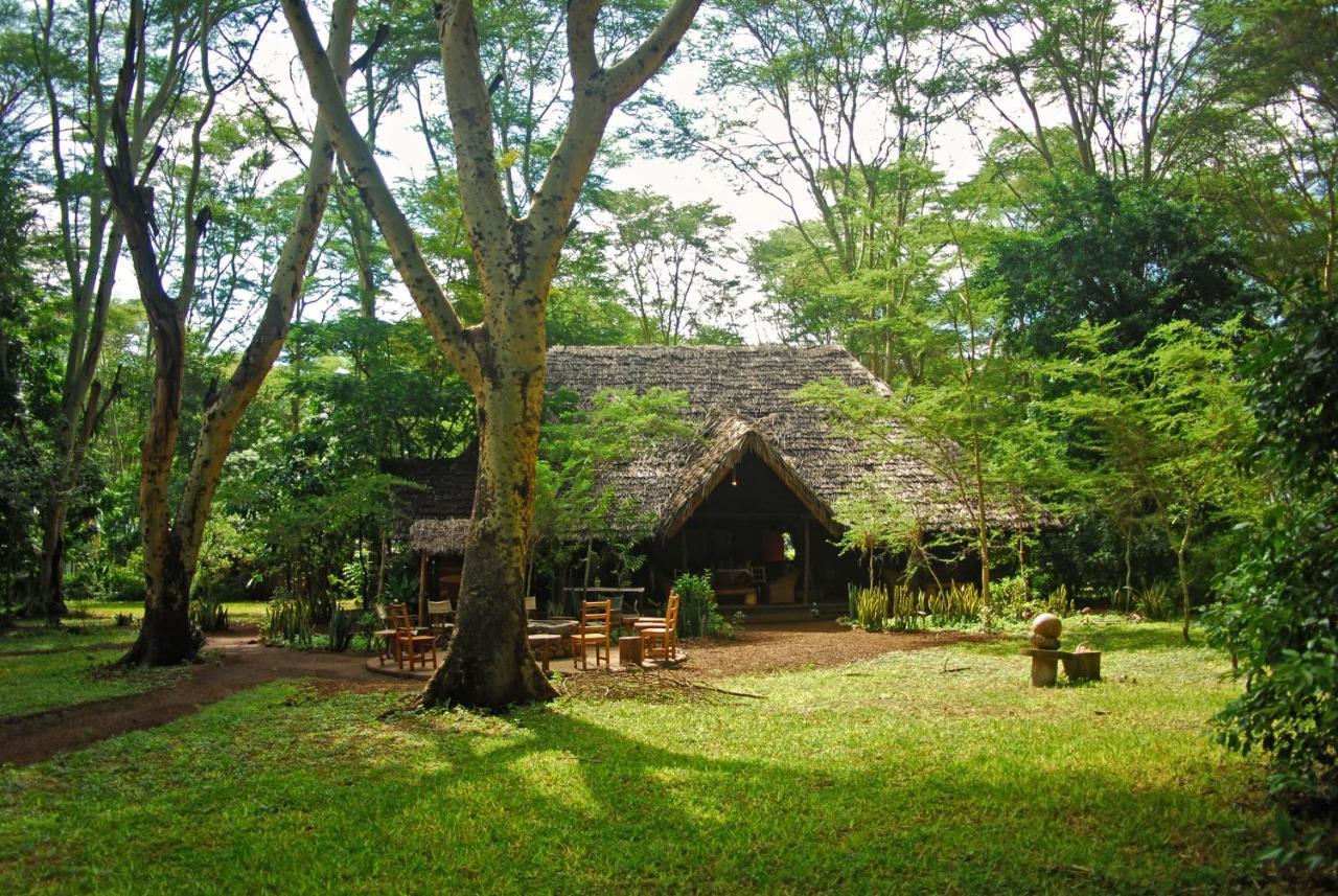 Migunga Tented Camp Mto wa Mbu Exterior photo